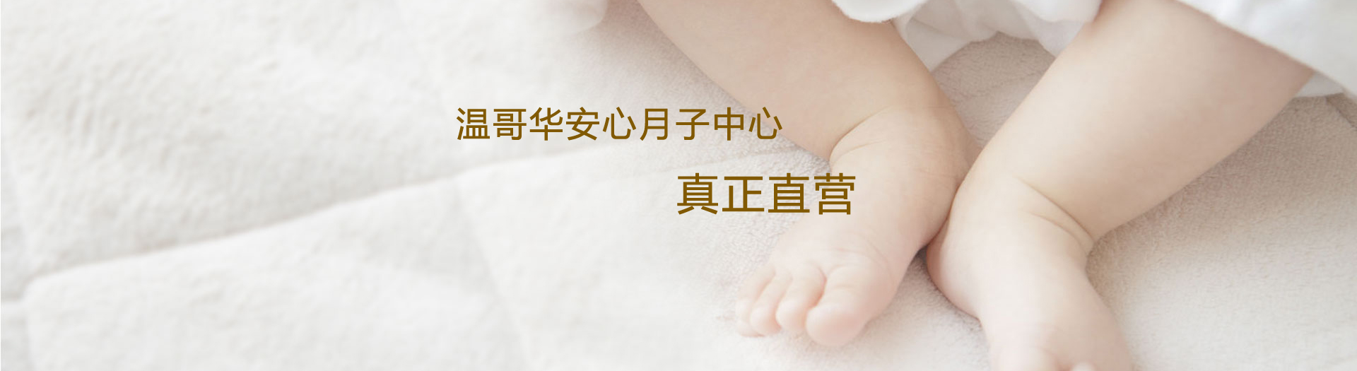 加拿大生子新闻中心