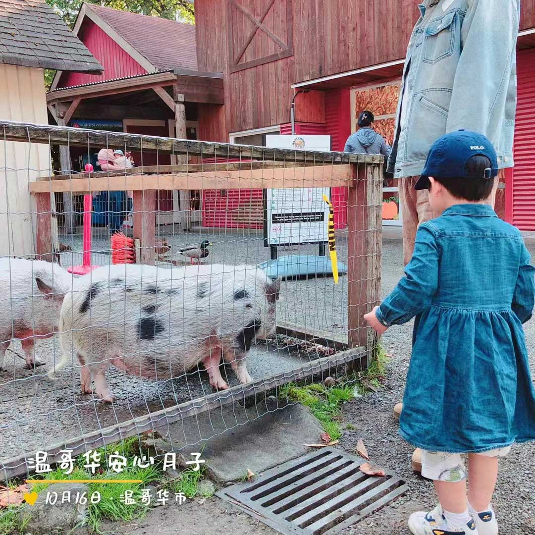 加拿大生子