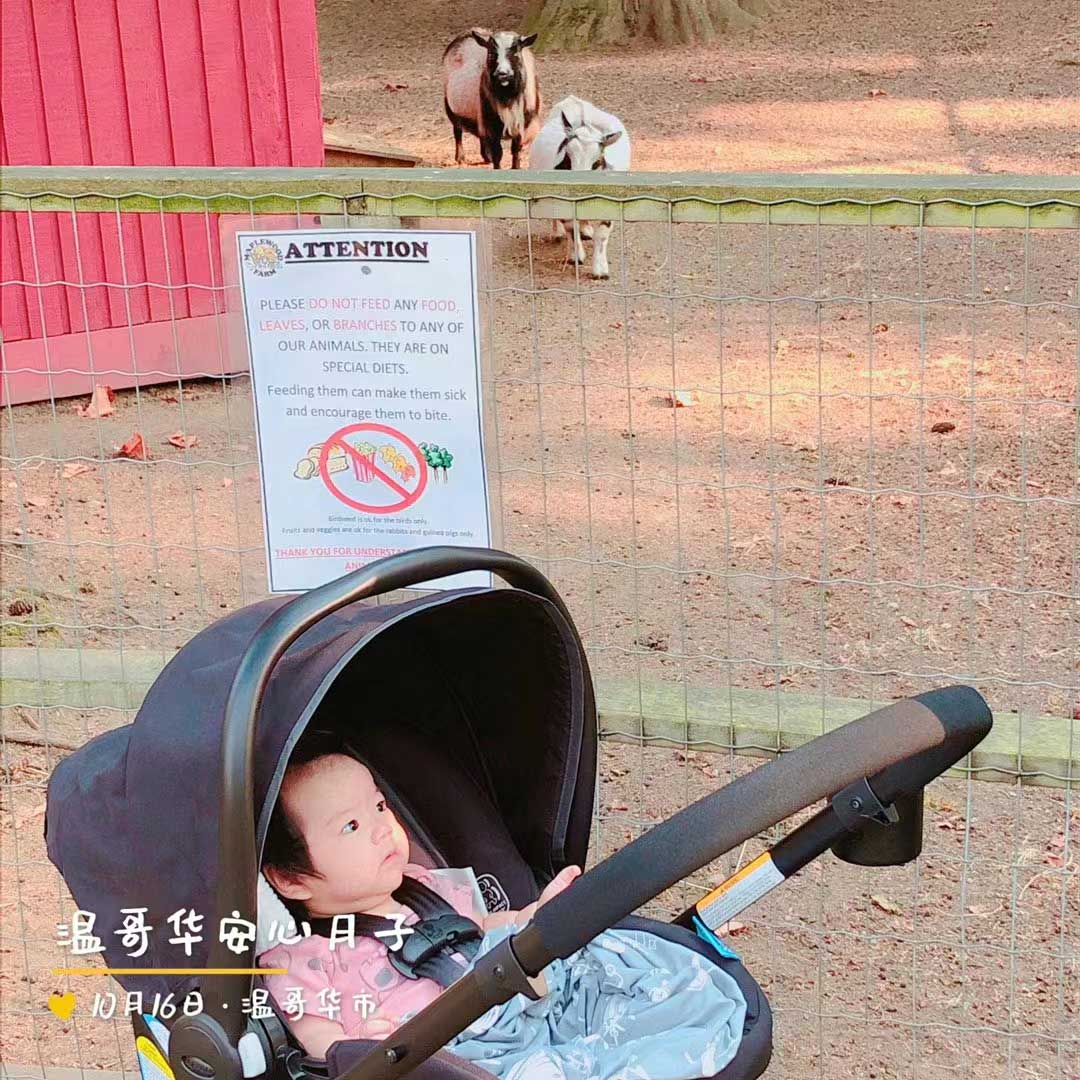 加拿大月子中心