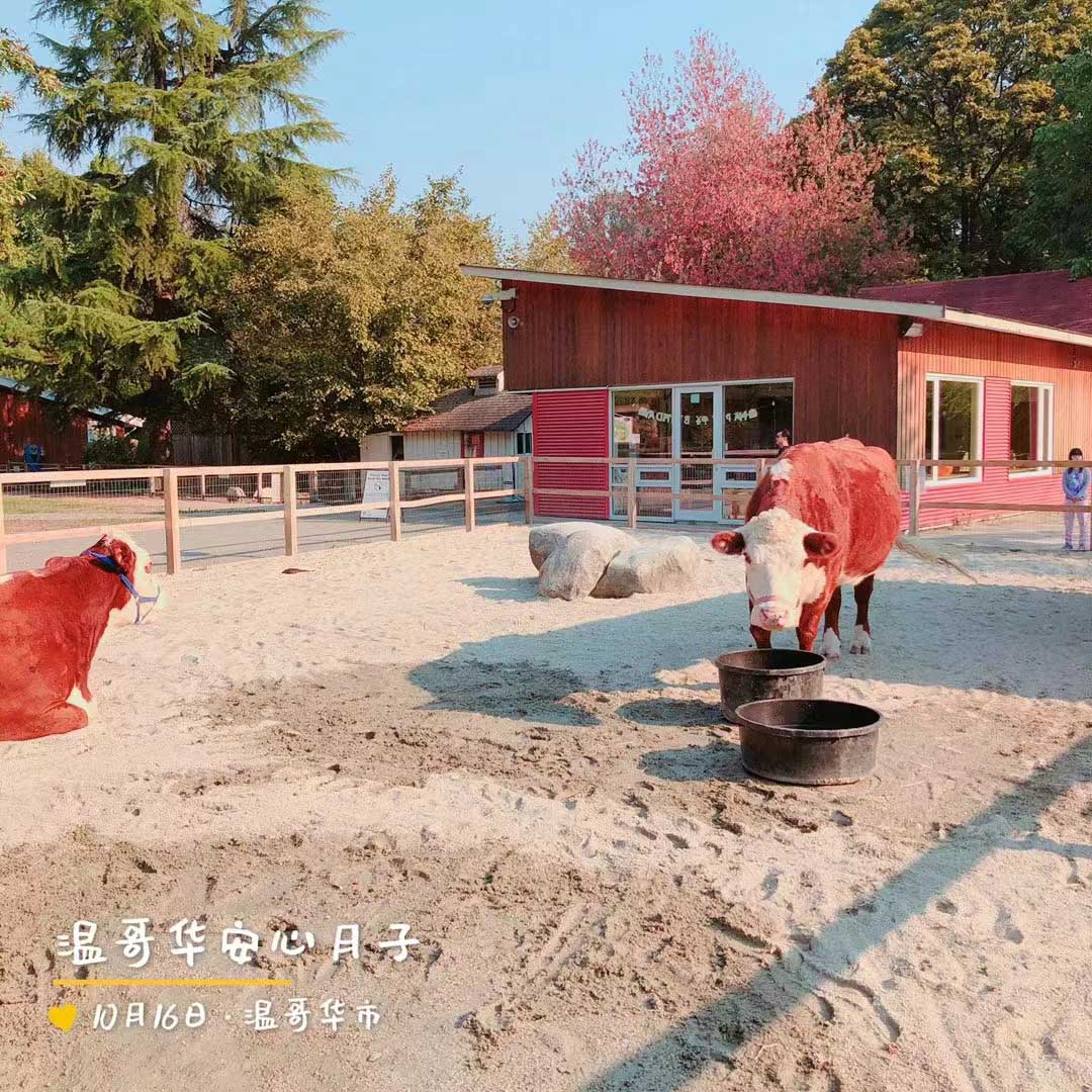 加拿大坐月子的环境