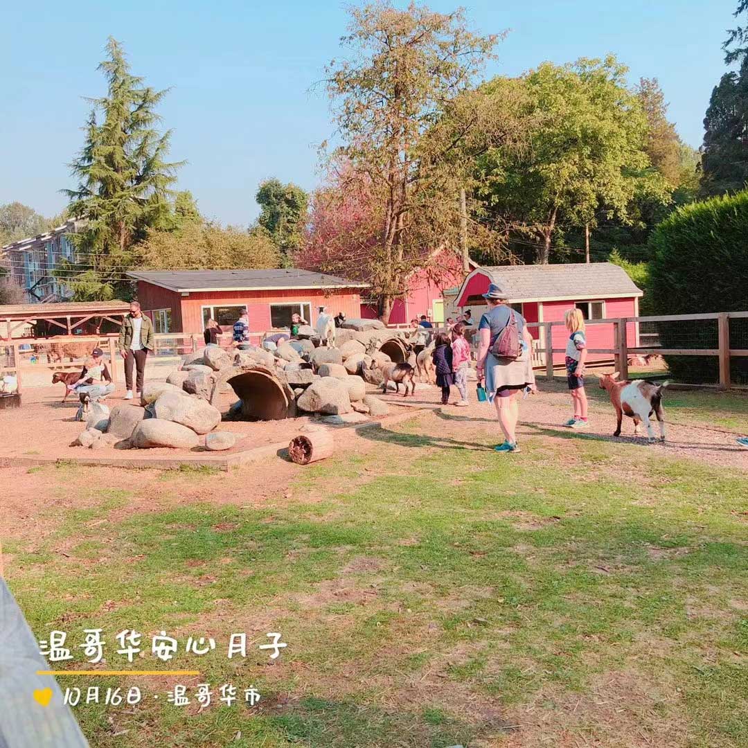 加拿大坐月子